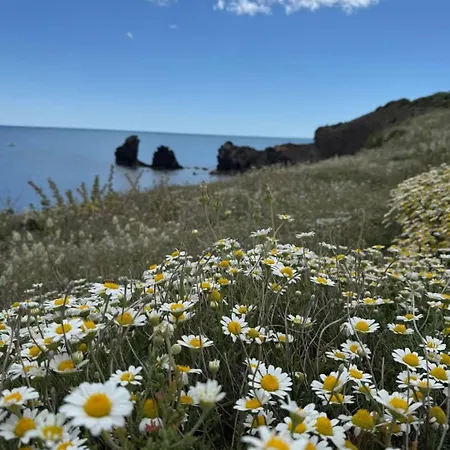 Апартаменты 5 Min From The Sea